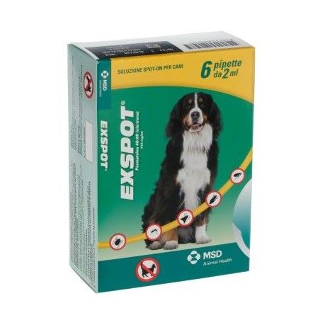EXSPOT FIALE  6 PIPETTE 2ML