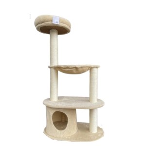 REX TIRAGRAFFI SOFIA NEW