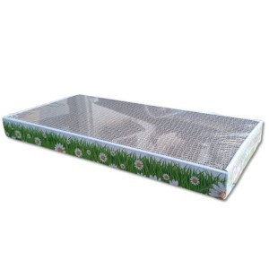 REX TIRAGRAFFI CARTONE LARGE