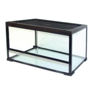 TERRARIO IN VETRO...