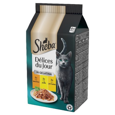 MARS SHEBA DU JOUR TACCHINO POLLO POLLAME GELATINA 6X50 GR