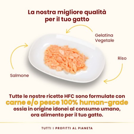 ALMO ALMO NATURE GR.70 JELLY SALMONE