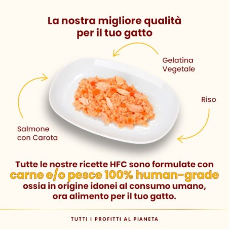 ALMO ALMO NATURE GR.70 JELLY SALMONE E CAROTA