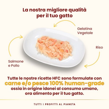 ALMO ALMO NATURE GR.70 JELLY SALMONE E POLLO