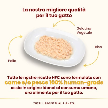 ALMO ALMO NATURE GR.70 JELLY POLLO