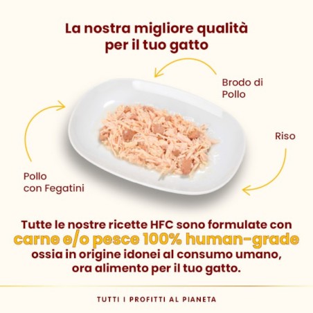 ALMO ALMO NATURE GR.70 POLLO E FEGATO