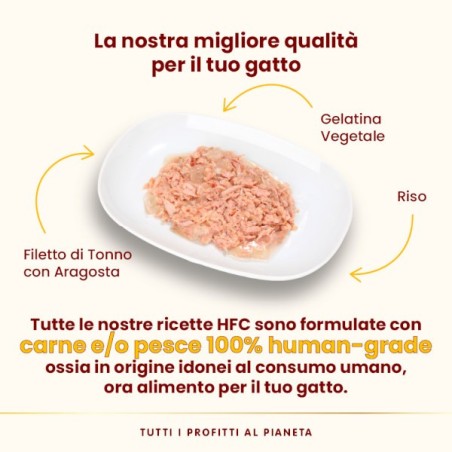 ALMO ALMO HFC BUSTA GR. 55 JELLY TONNO E ARAGOSTA NATURE