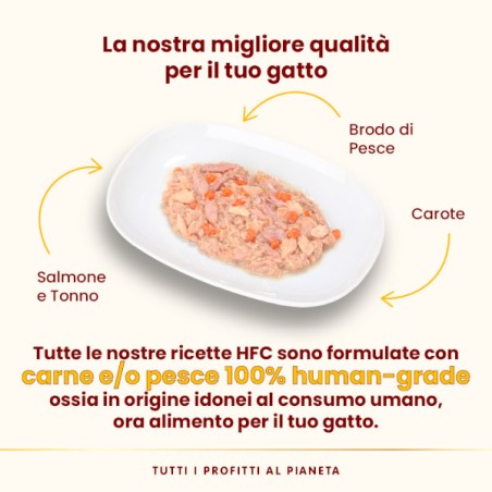 ALMO ALMO NATURE GR.70 Salmone tonno carote