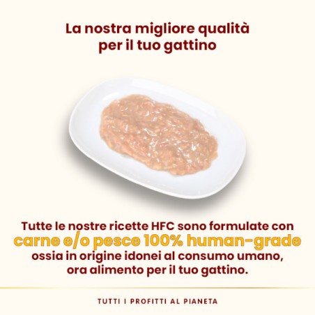 ALMO ALMO NATURE GR.70 Kitten salmone tonno