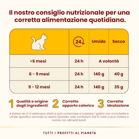 ALMO ALMO NATURE GR.70 Kitten salmone tonno