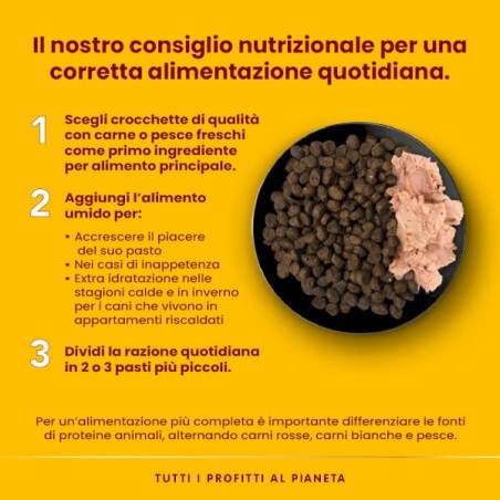 ALMO ALMO NATURE CANE HFC  GR.95 MANZO 