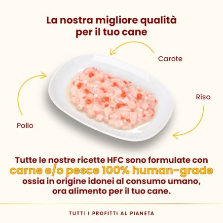 ALMO ALMO NATURE CANE HFC  GR.95 POLLO CAROTE RISO 