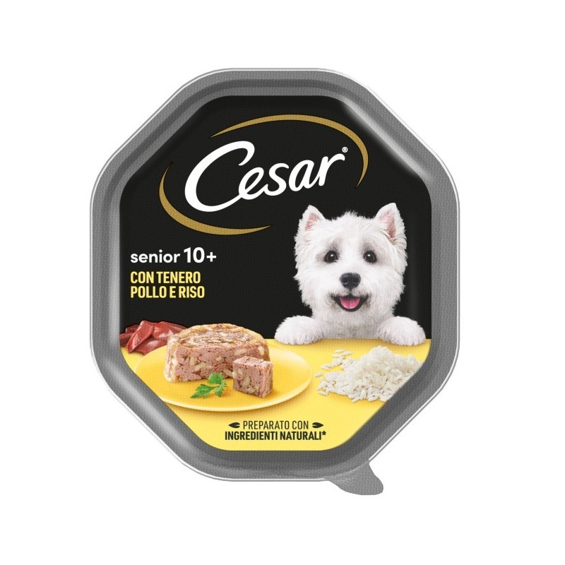CESAR GR.150 SENIOR 10+ TENERO POLLO RISO GELATINA