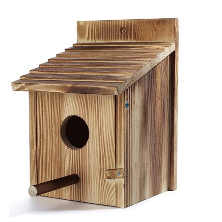  REX CASETTA IN LEGNO PER UCCELLI LIBERI -H5-