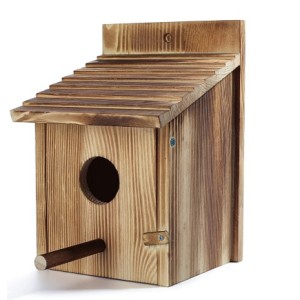 REX CASETTA IN LEGNO PER...