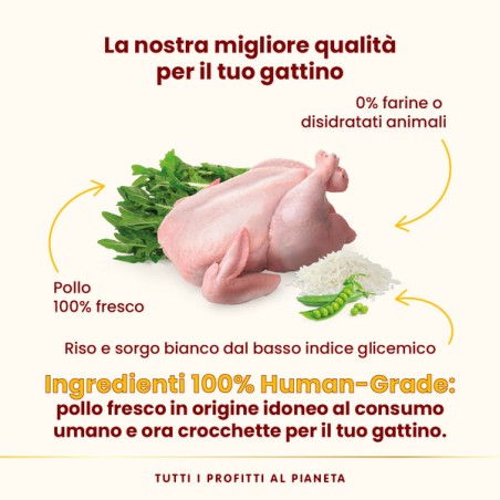 ALMO ALMO NATURE HFC OurBest CAT 300gr KITTEN Pollo
