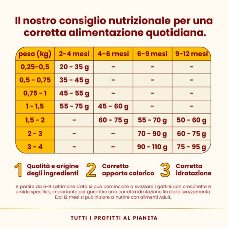 ALMO ALMO NATURE HFC OurBest CAT 1,2Kg KITTEN Pollo