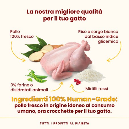 ALMO ALMO NATURE HFC OurBest CAT 300gr ADULT STERILISED POLLO