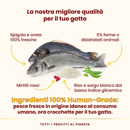 ALMO ALMO NATURE HFC OurBest CAT 1,2Kg ADULT STERILISED SPIGOLA ORATA fresche