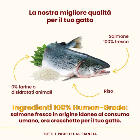 ALMO ALMO NATURE HFC OurBest CAT 300gr ADULT HIGHLY APPETIZING