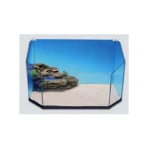 REX TARTARUGHIERA DIAMANT CM.51