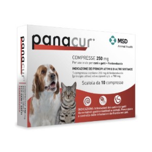Panacur compresse 250mg