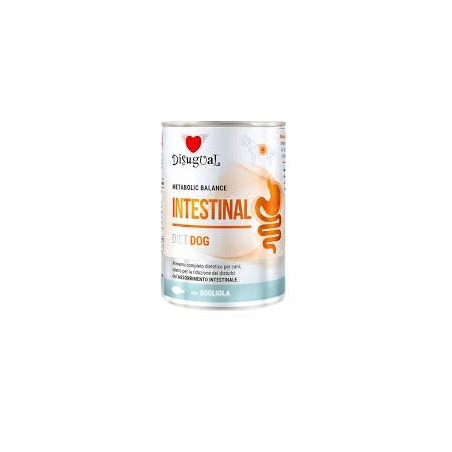 NP INDUSTRIE DISUGUAL DIET DOG INTESTINAL SOGLIOLA GR 400