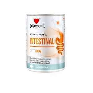 DISUGUAL DIET DOG...