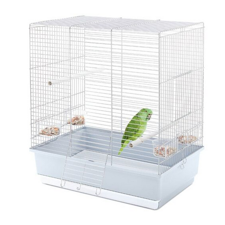 IMAC GABBIA DORA PLUS