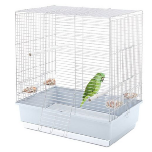 IMAC GABBIA DORA PLUS