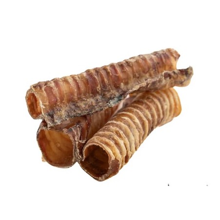  REX TRACHEA GR 200