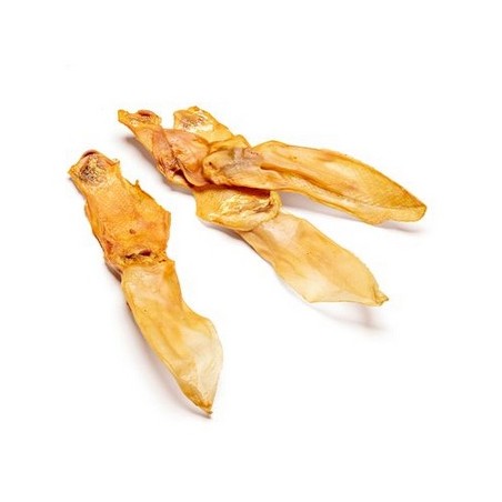  REX ORECCHIE DI CONIGLIO GR 200