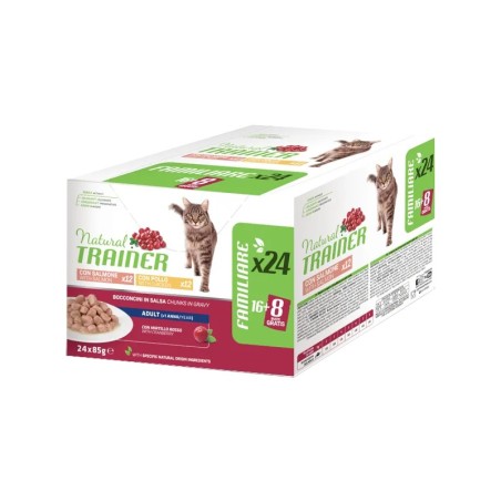 AFFINITY TRAINER BUSTA GR 85 ADULT MULTIPACK 24X85 GR POLLO SALMONE