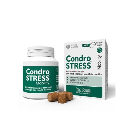 INNOVET CONDROSTRESS MOBILITY  60 BOCCONCINI