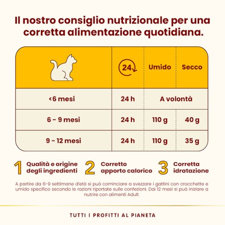 ALMO ALMO NATURE GR.70 KITTEN POLLO