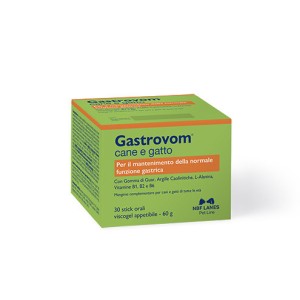 GASTROVOM GEL STICK