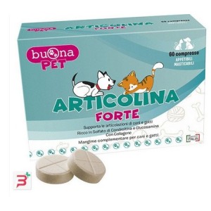 ARTICOLINA FORTE 60 CPR