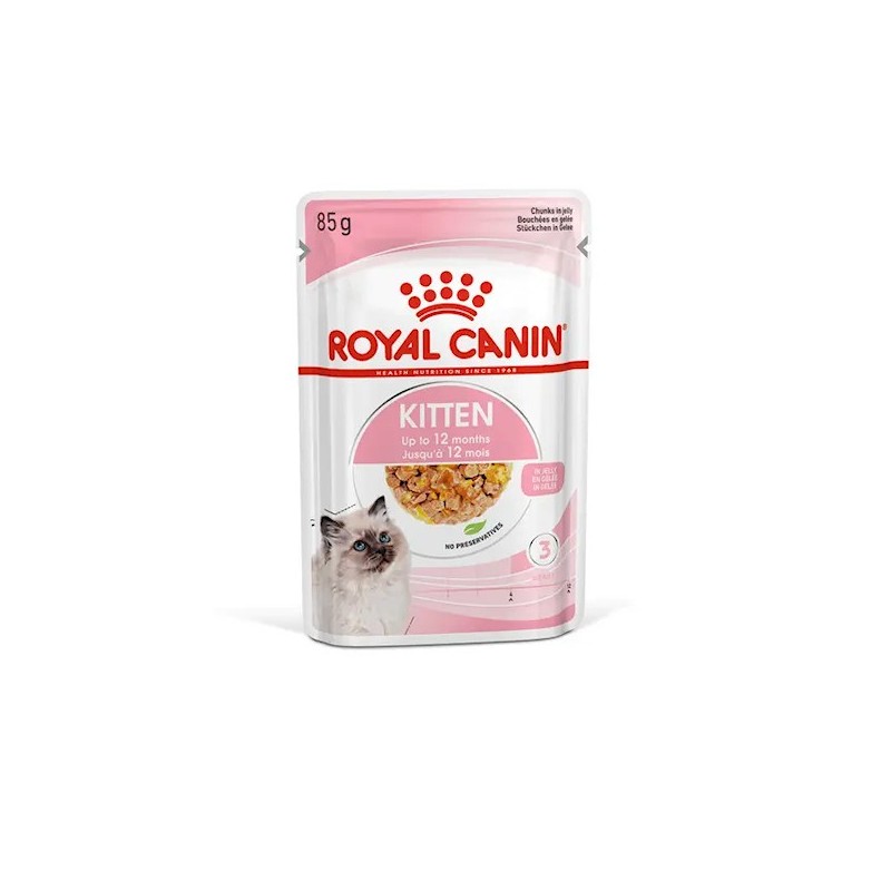 ROYAL CANIN BUSTA GR.85 KITTEN JELLY 