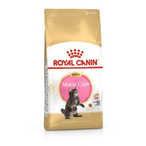 ROYAL CANIN KITTEN MAIN COON GR. 400