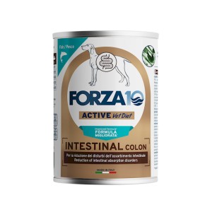 FORZA 10 ACTIWER DOG...