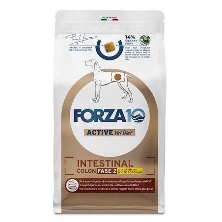 SANYPET FORZA 10 INTESTINAL COLON FASE 2 AGNELLO E SORGO 10 KG