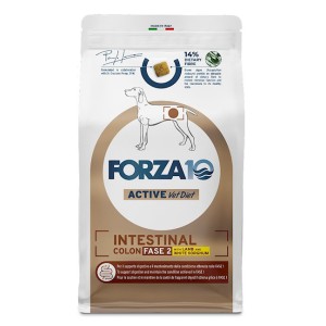 FORZA 10 INTESTINAL COLON...