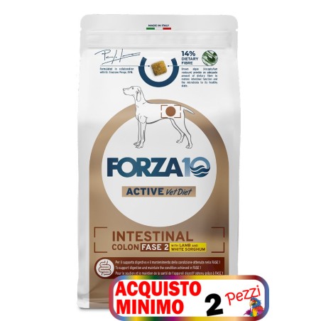 SANYPET FORZA 10 INTESTINAL COLON FASE 2 AGNELLO E SORGO 10 KG **acquisto minimo 2 sacchi