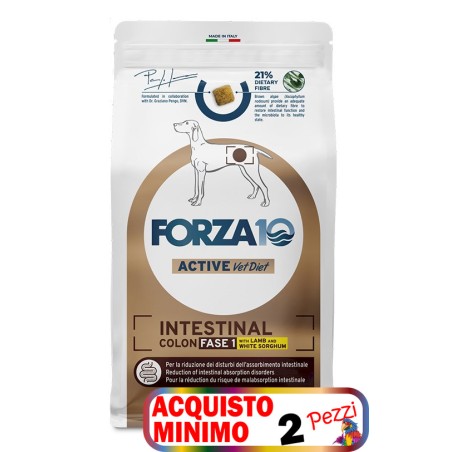 SANYPET FORZA 10 INTESTINAL COLON FASE 1 AGNELLO SORGO KG.10 *acquisto minimo 2 sacchi