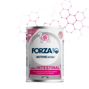 FORZA 10 INTESTINAL PUPPY...