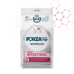 FORZA 10 INTESTINAL PUPPY...