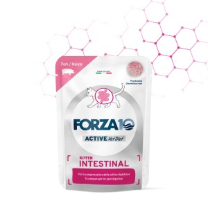FORZA 10 CAT ACTIWET...