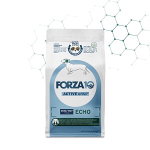 FORZA 10 MINI/TOY ECHO KG.1,5
