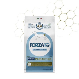 FORZA 10 MINI/TOY...