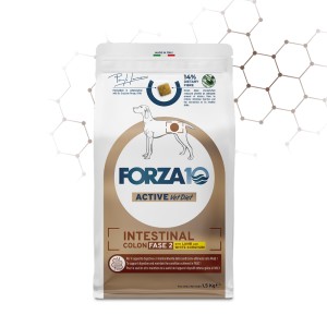 FORZA 10 INTESTINAL COLON...